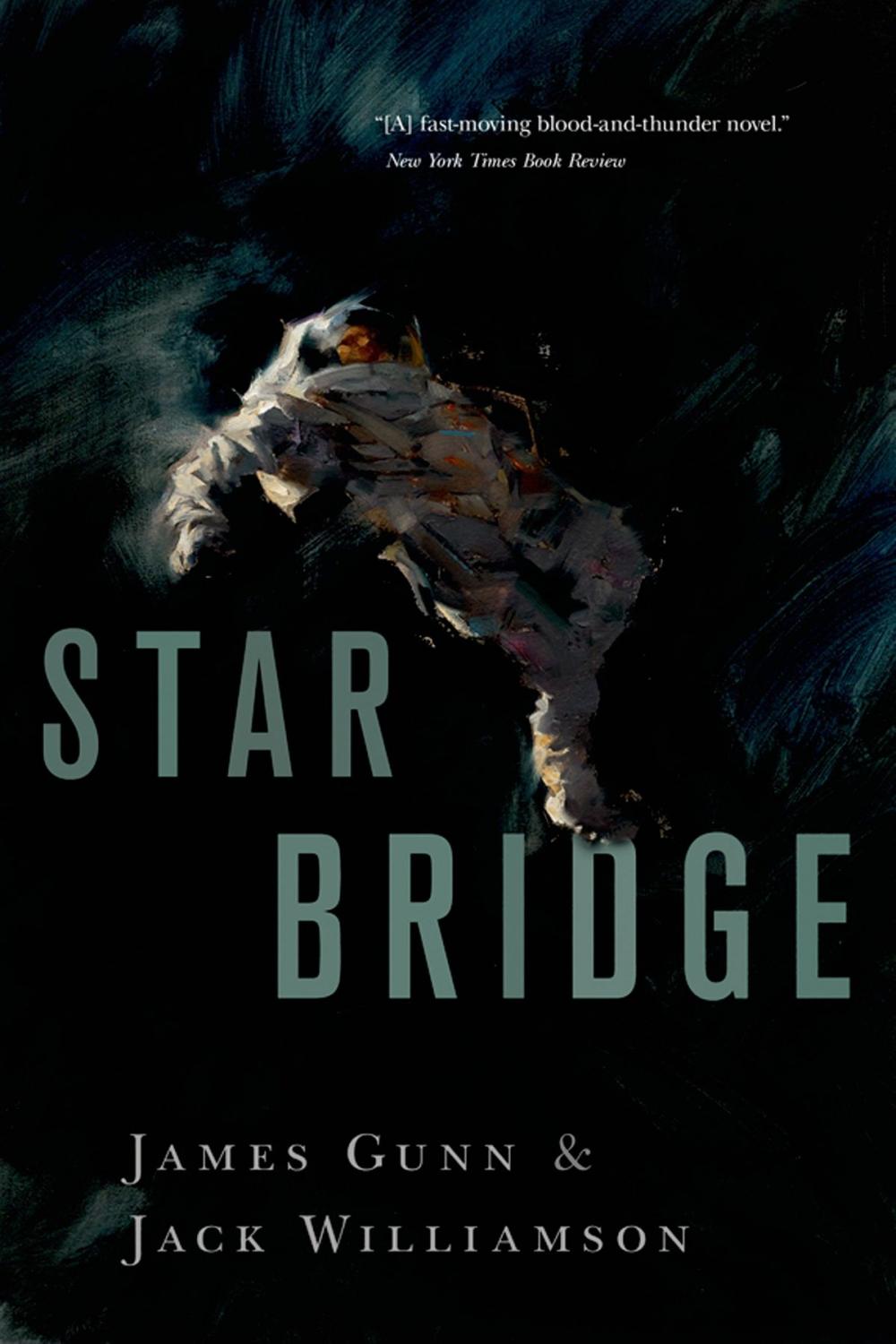 Big bigCover of Star Bridge