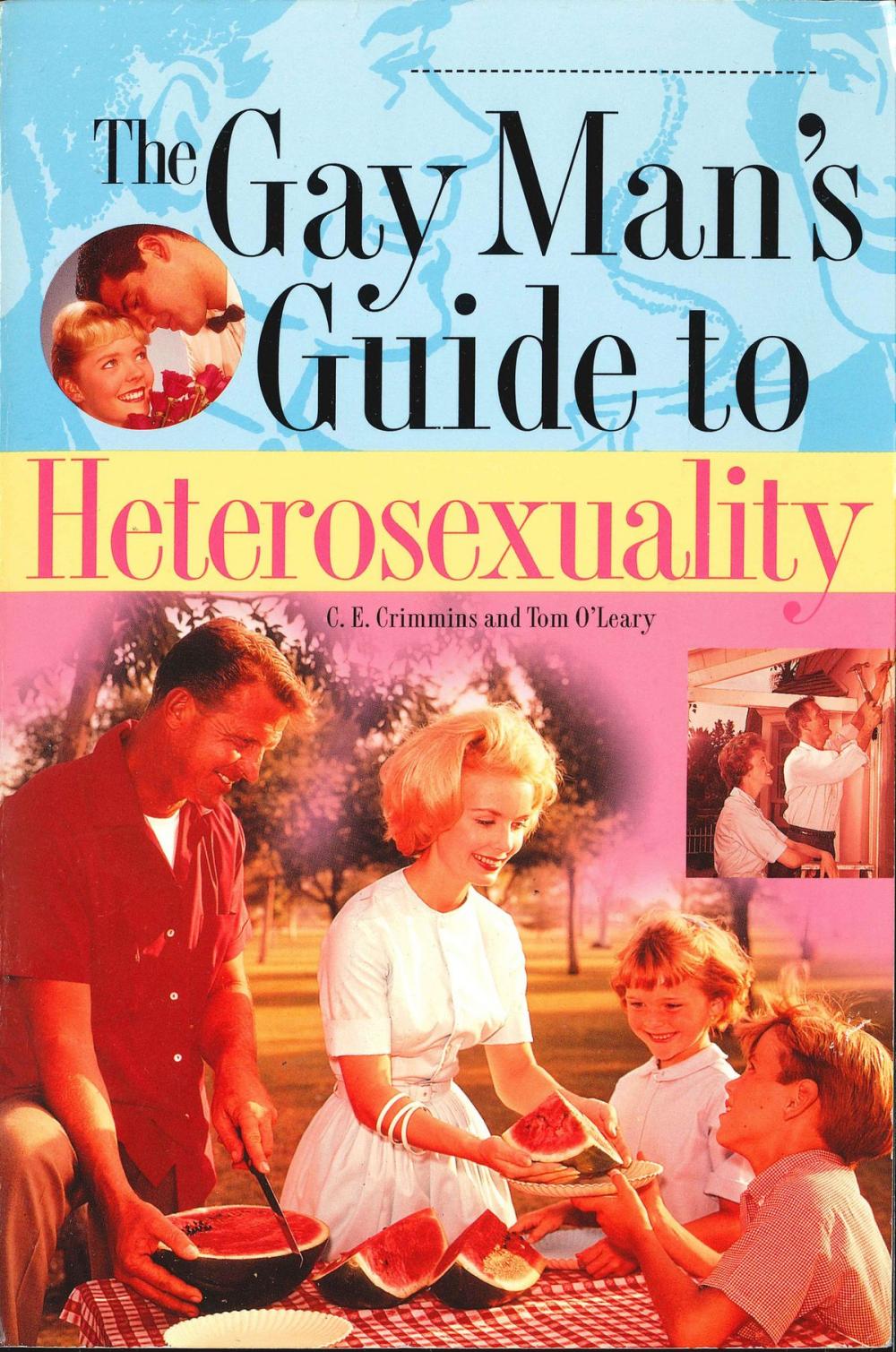 Big bigCover of The Gay Man's Guide To Heterosexuality