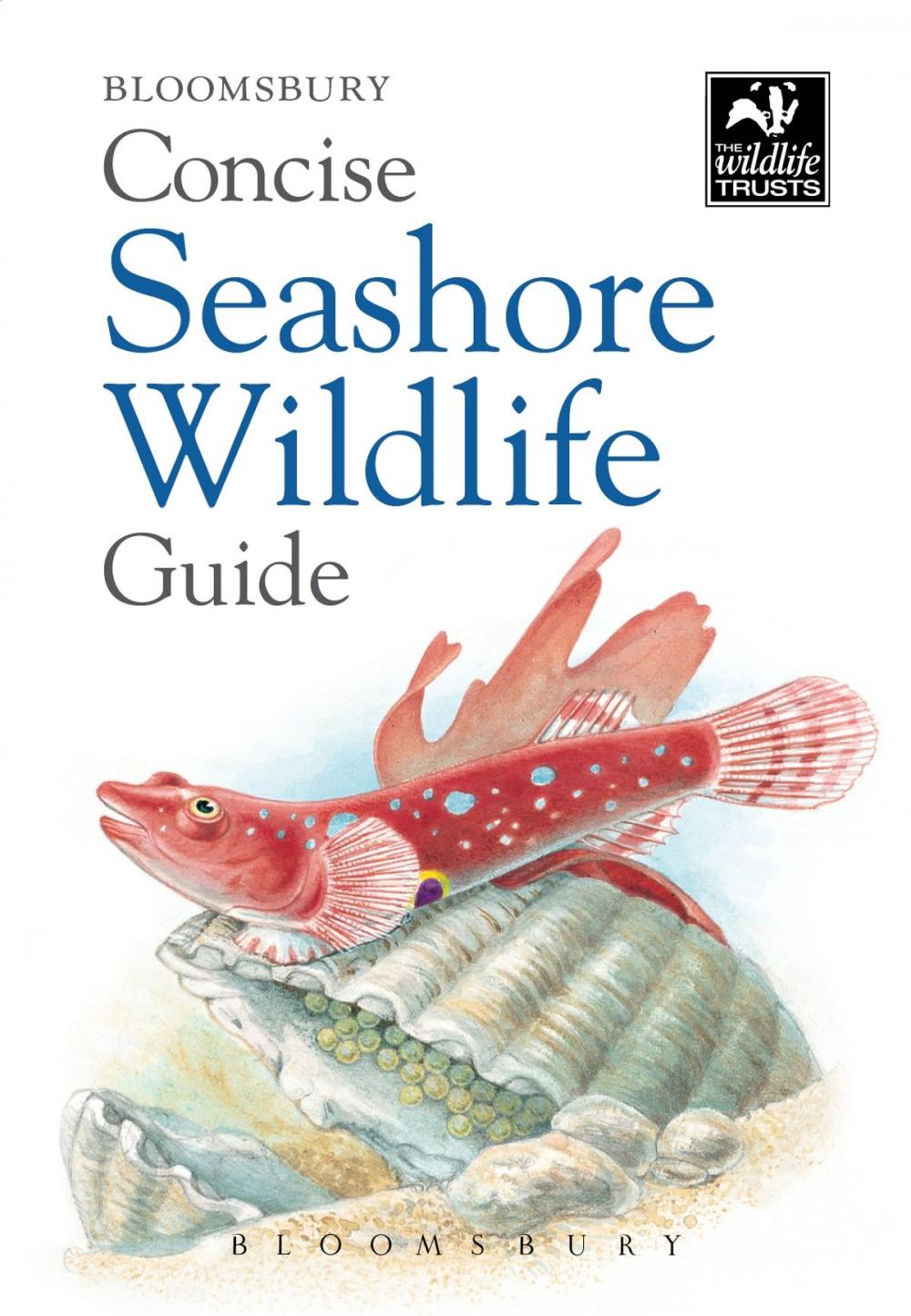 Big bigCover of Concise Seashore Wildlife Guide