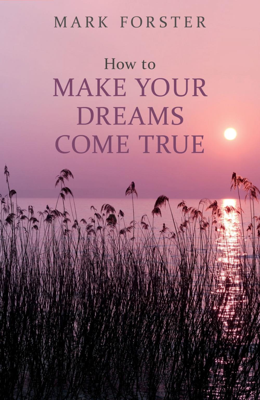 Big bigCover of How to Make Your Dreams Come True