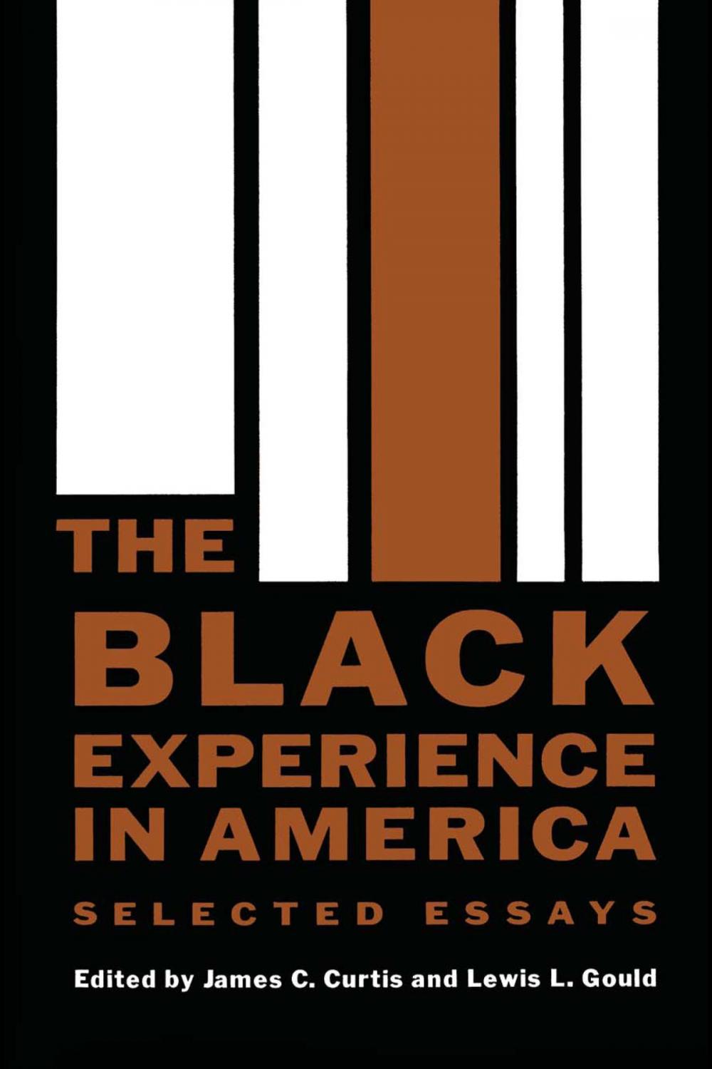 Big bigCover of The Black Experience in America