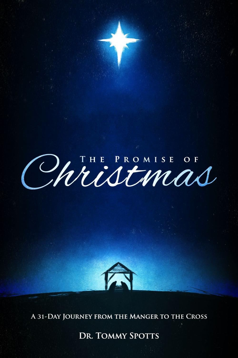 Big bigCover of The Promise of Christmas