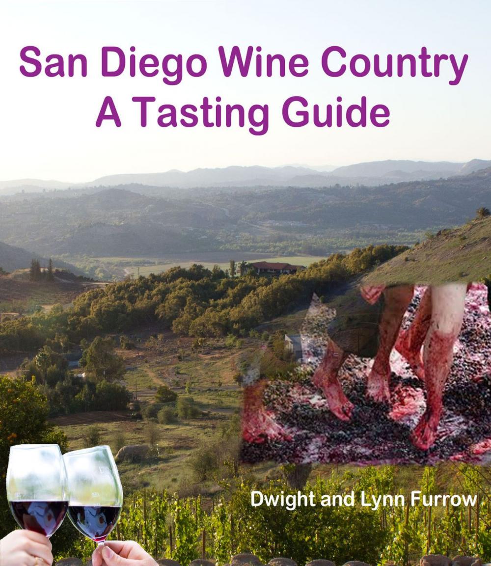 Big bigCover of San Diego Wine Country