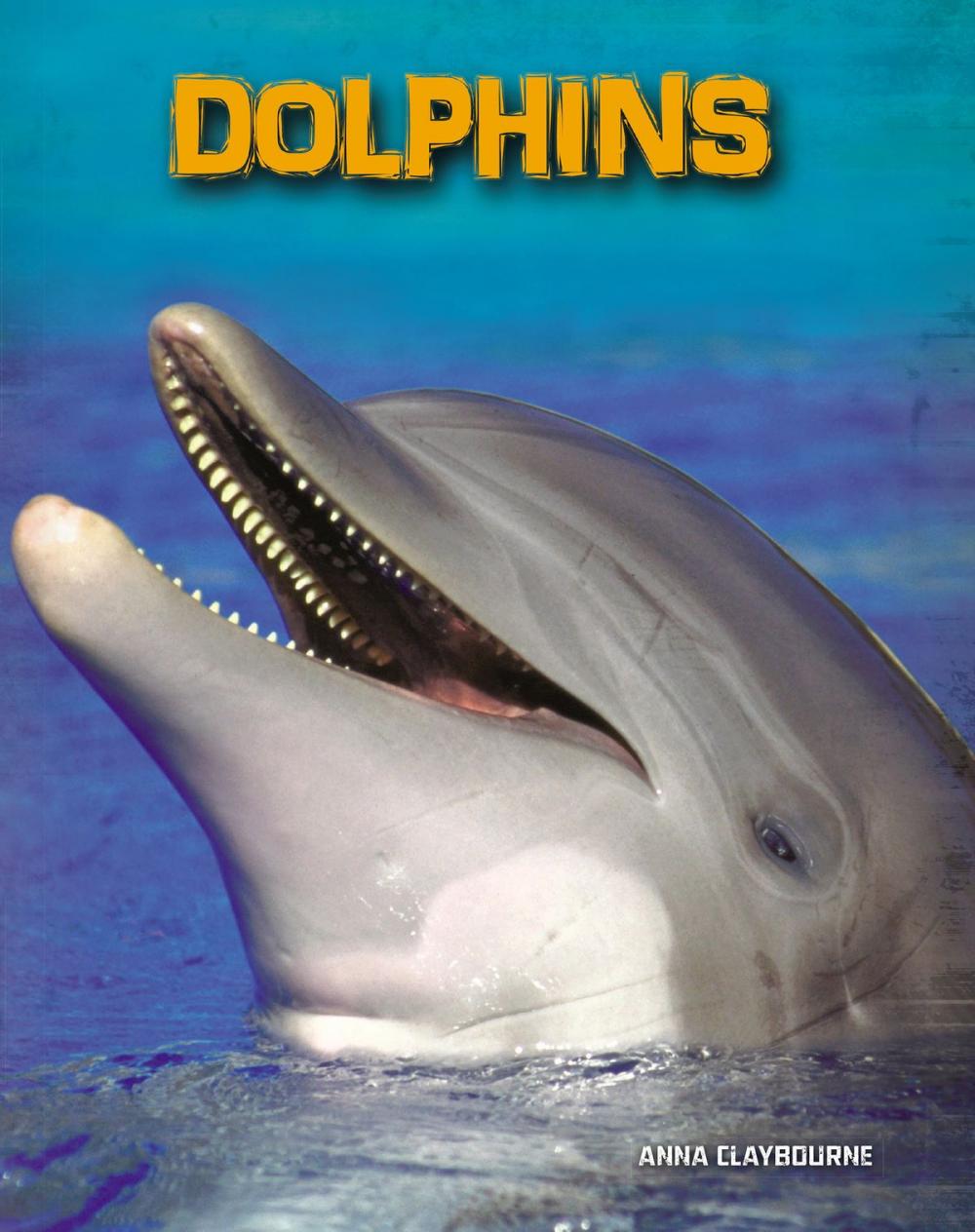 Big bigCover of Dolphins