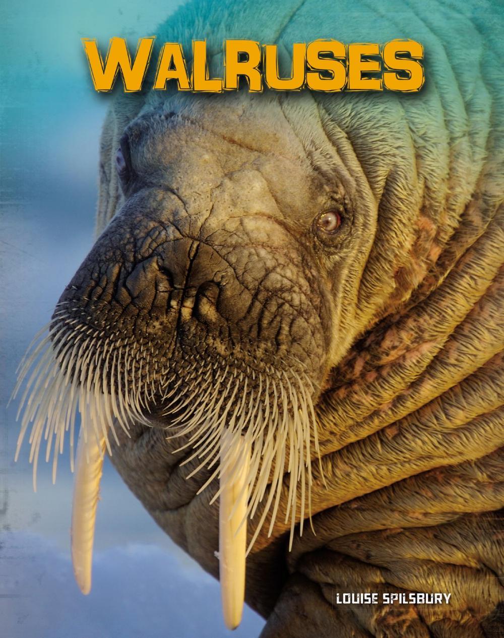 Big bigCover of Walruses