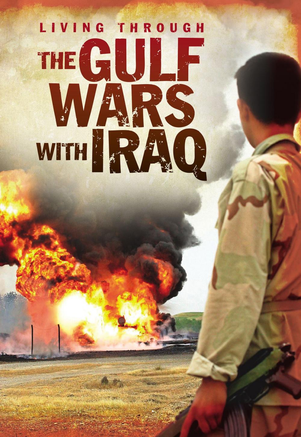 Big bigCover of The Gulf Wars With Iraq