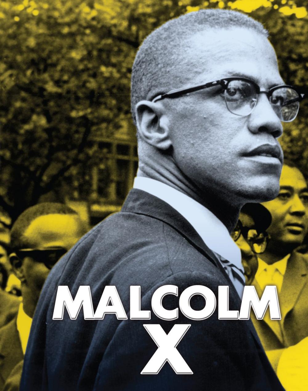 Big bigCover of Malcolm X