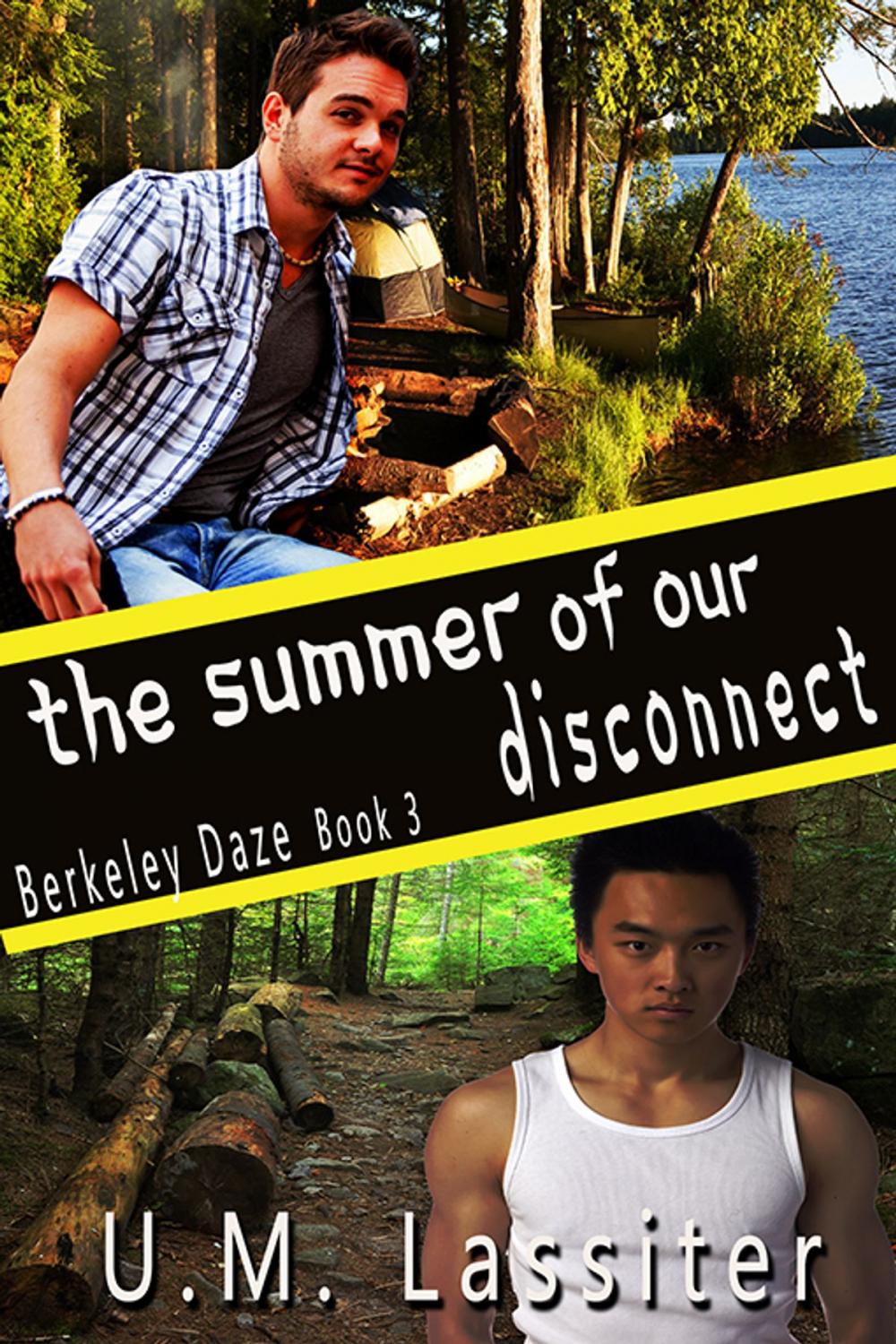 Big bigCover of The Summer of Our Disconnect