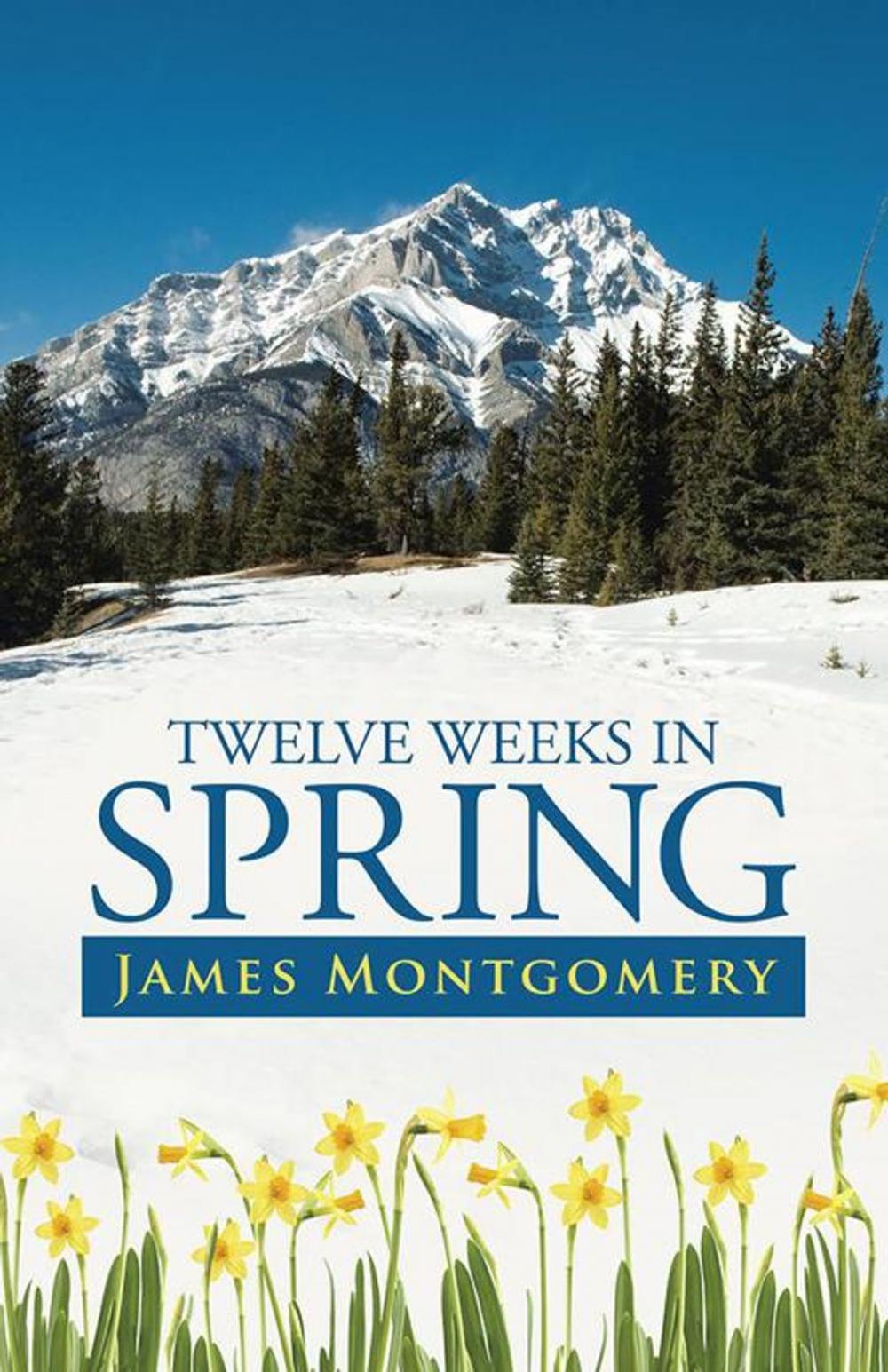 Big bigCover of Twelve Weeks in Spring