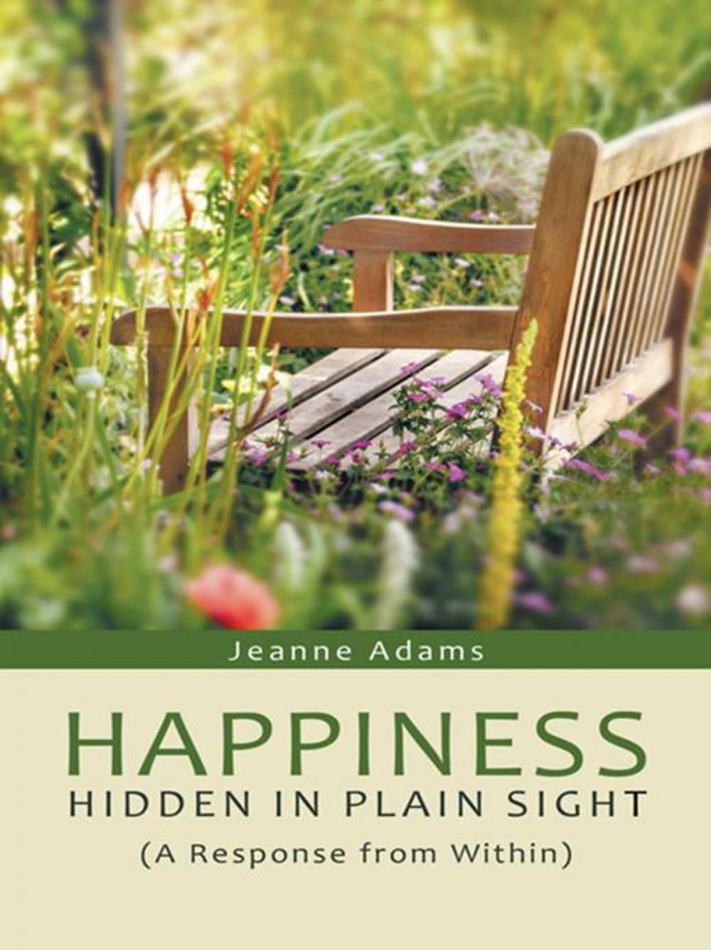 Big bigCover of Happiness: Hidden in Plain Sight