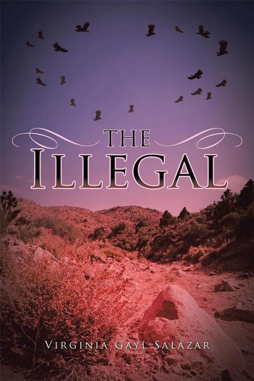 Big bigCover of The Illegal