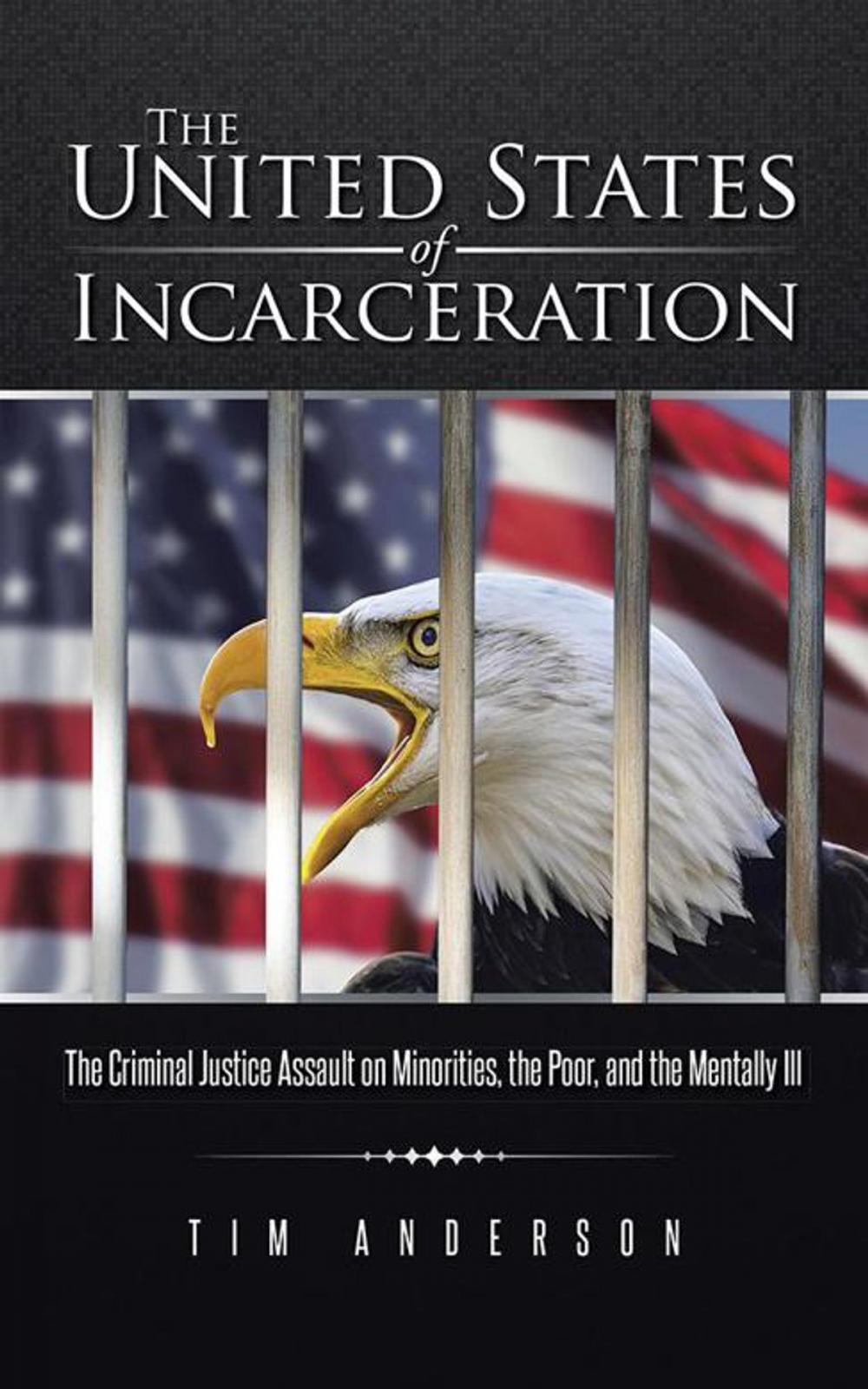 Big bigCover of The United States of Incarceration