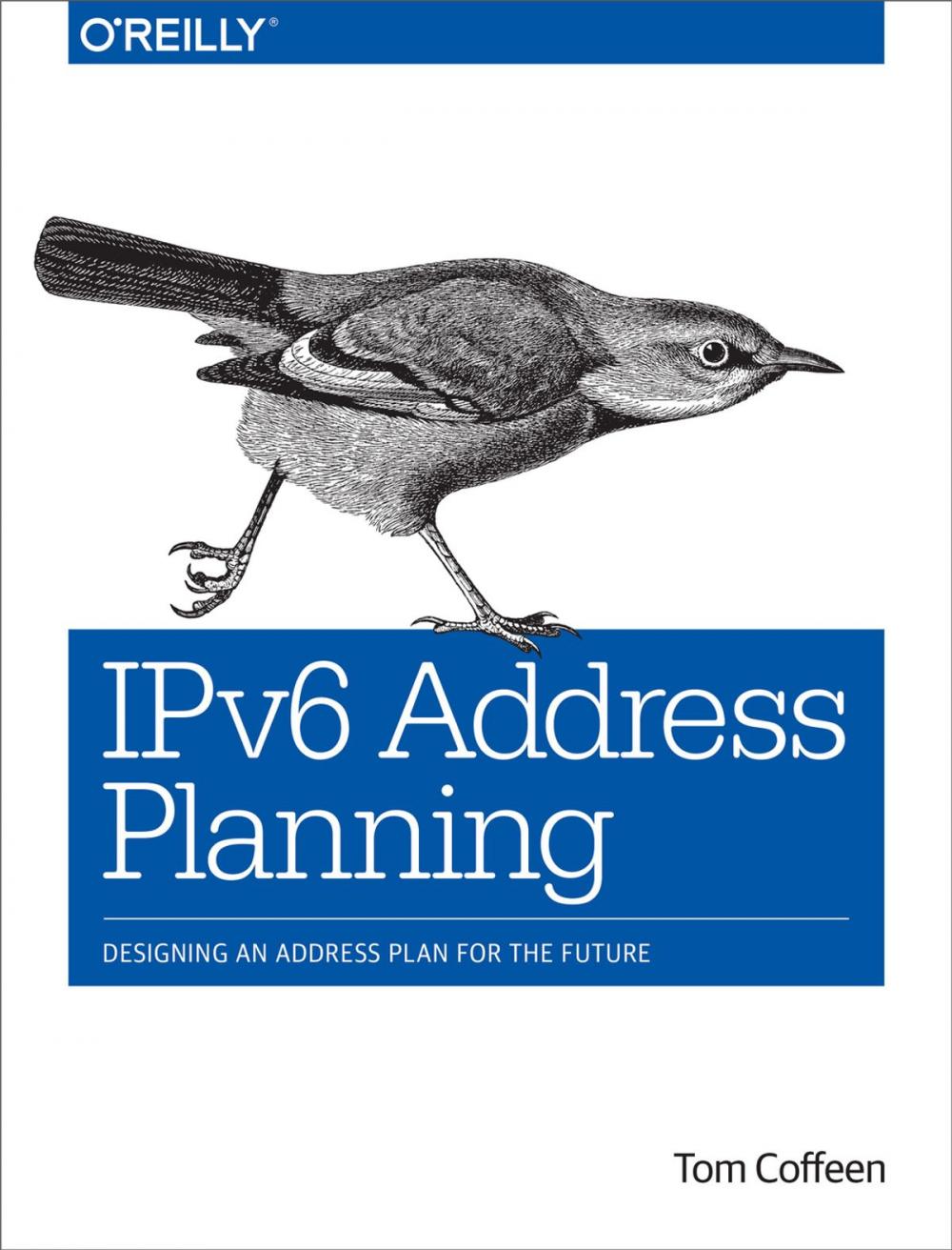 Big bigCover of IPv6 Address Planning