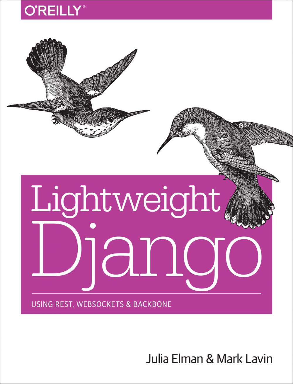 Big bigCover of Lightweight Django