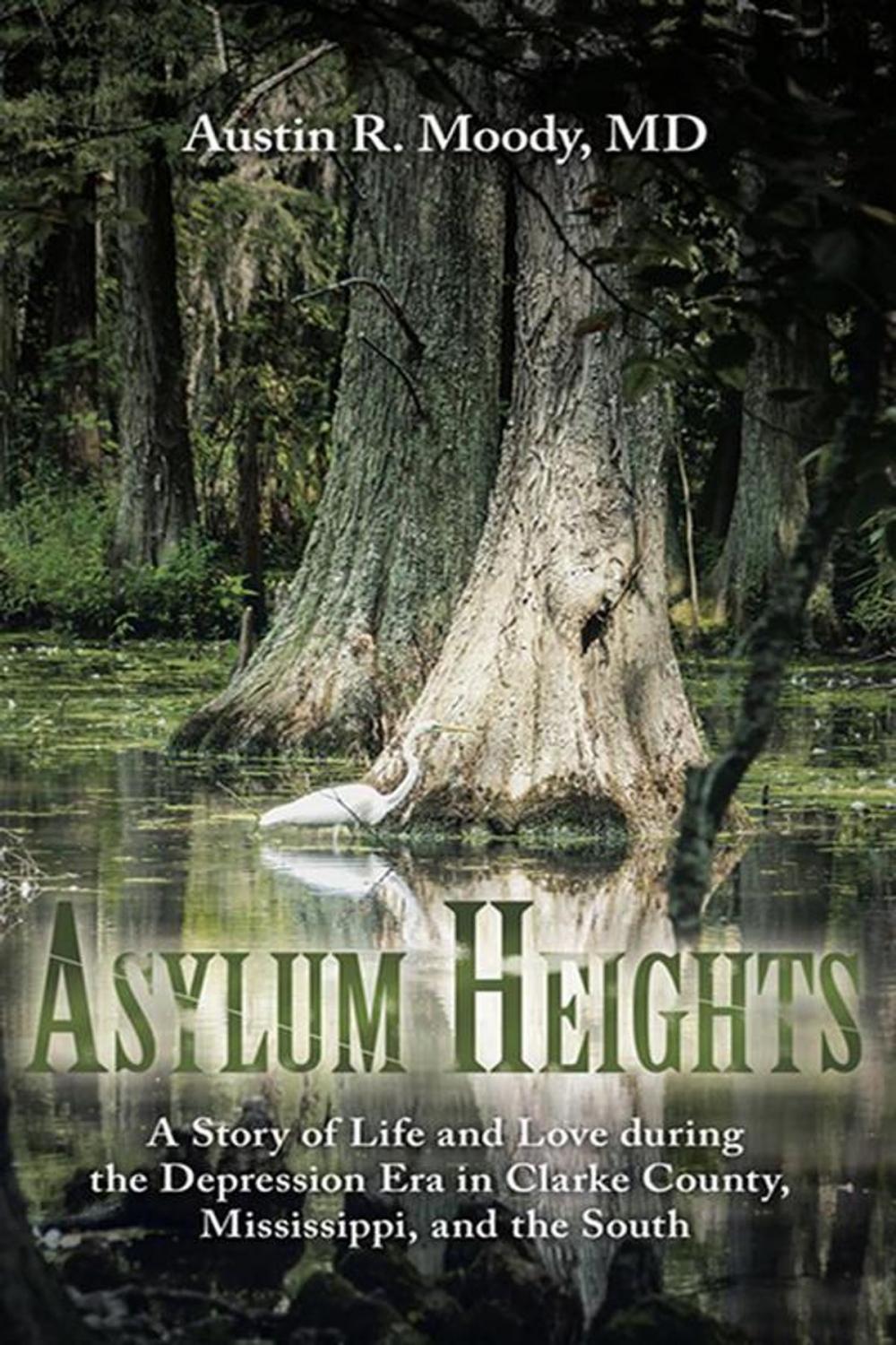 Big bigCover of Asylum Heights