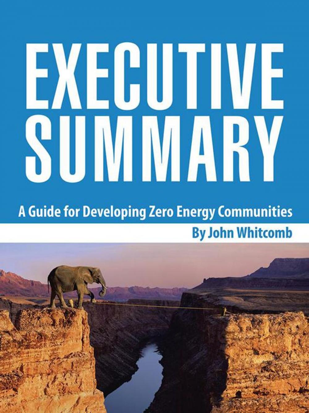 Big bigCover of Executive Summary