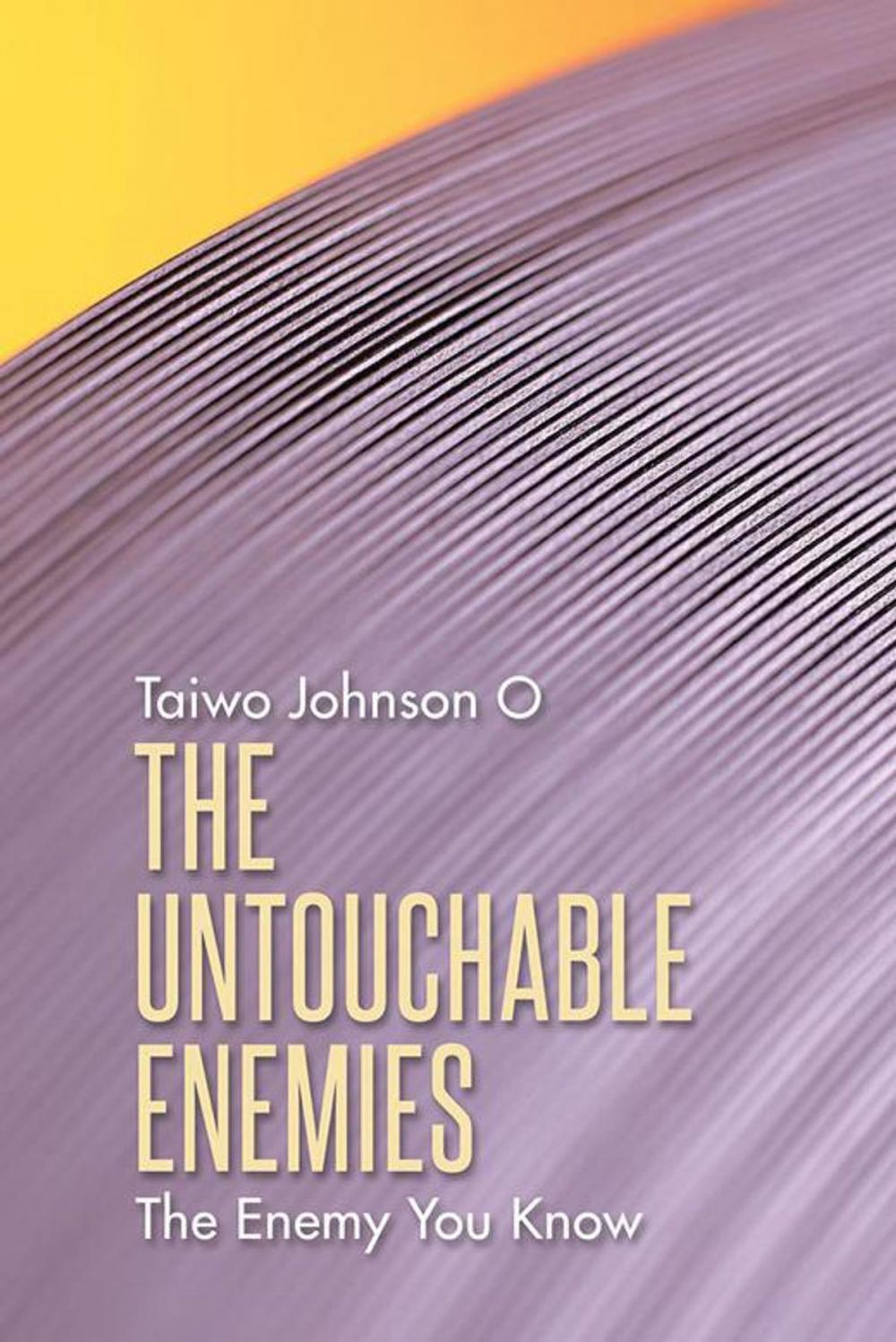 Big bigCover of The Untouchable Enemies