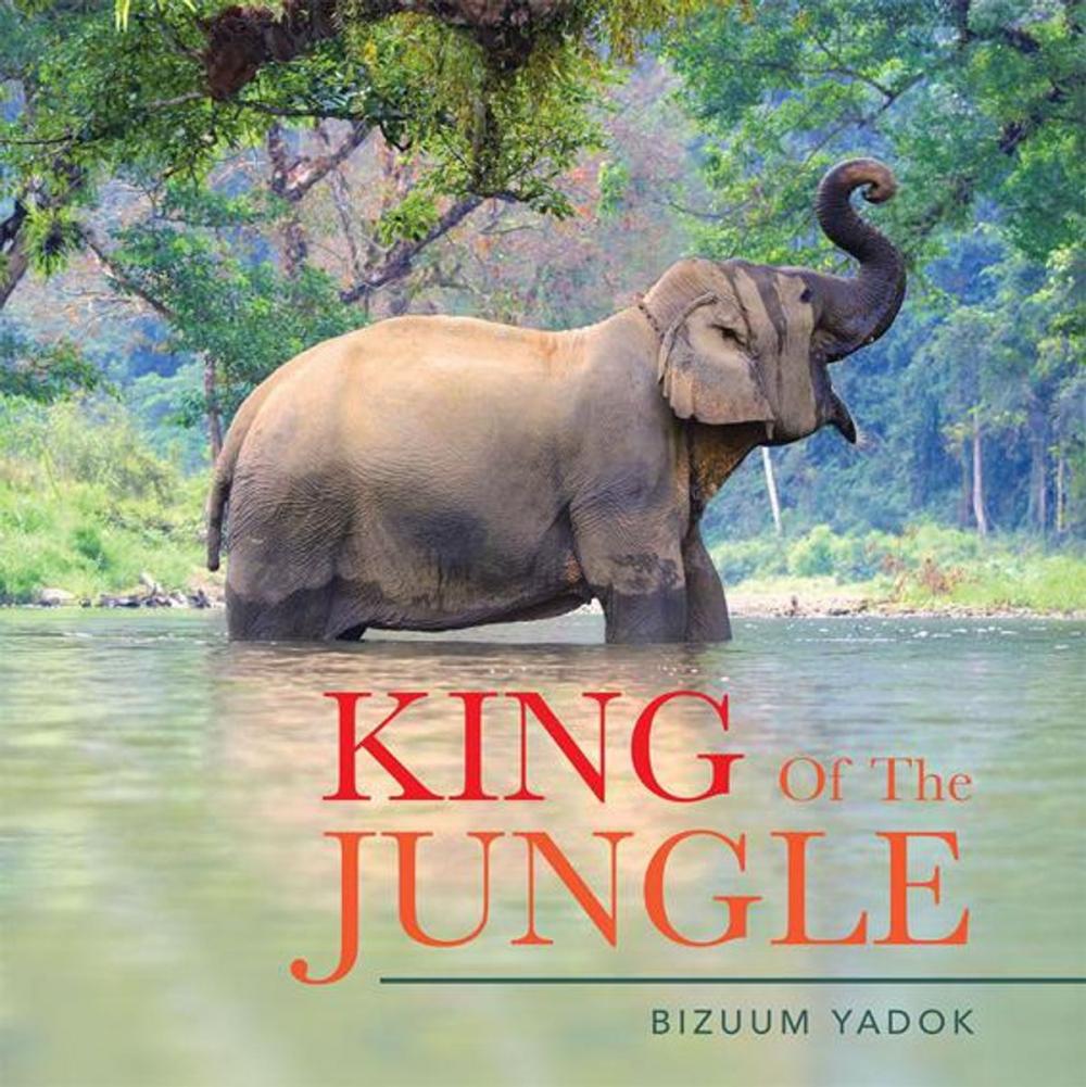 Big bigCover of King of the Jungle