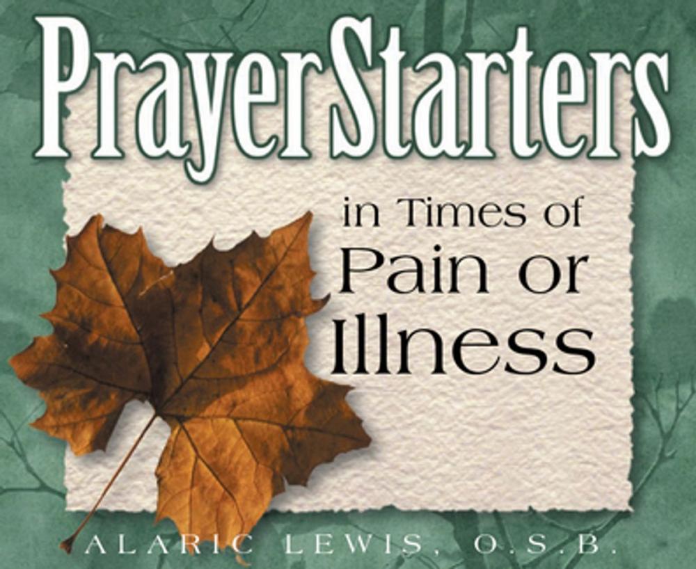 Big bigCover of PrayerStarters in Times of Pain or Illness