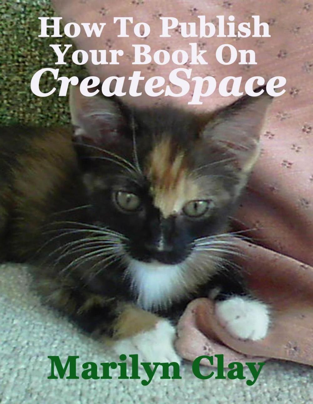 Big bigCover of How to Publish Your Book on CreateSpace