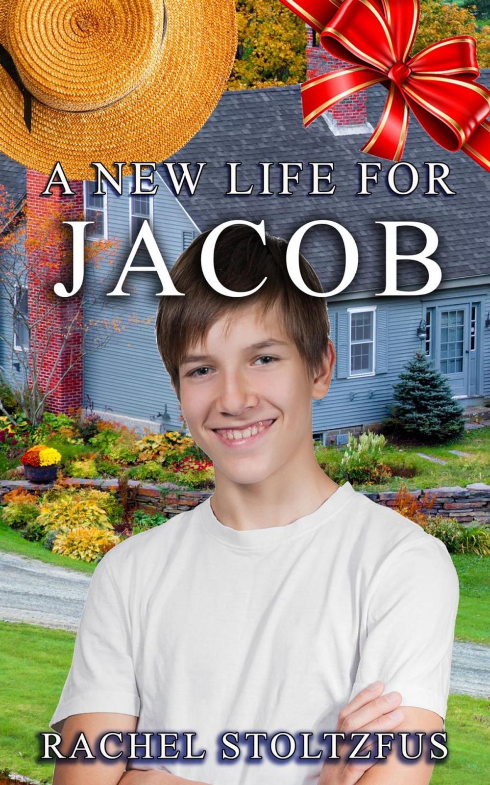 Big bigCover of A New Life for Jacob