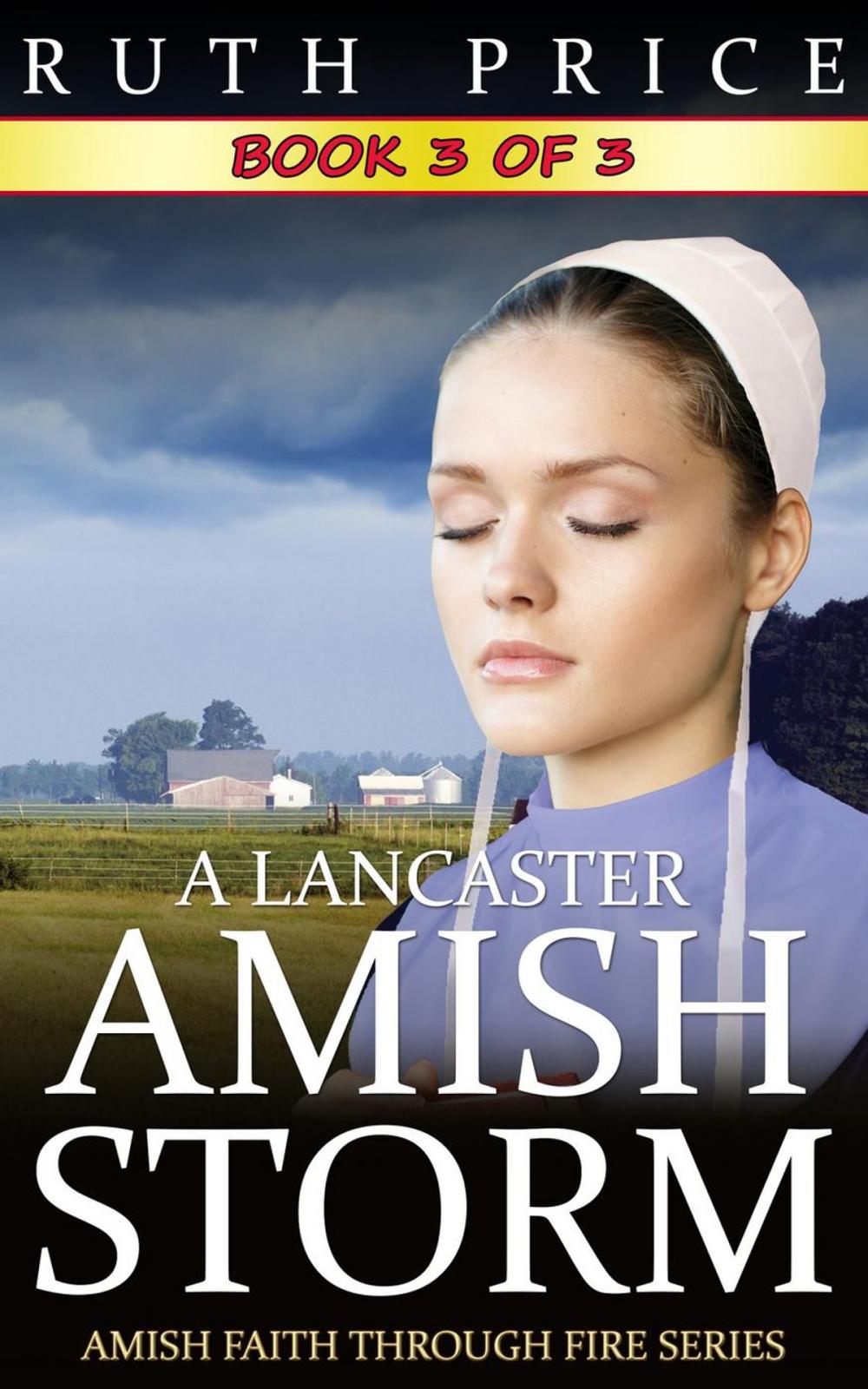 Big bigCover of A Lancaster Amish Storm - Book 3