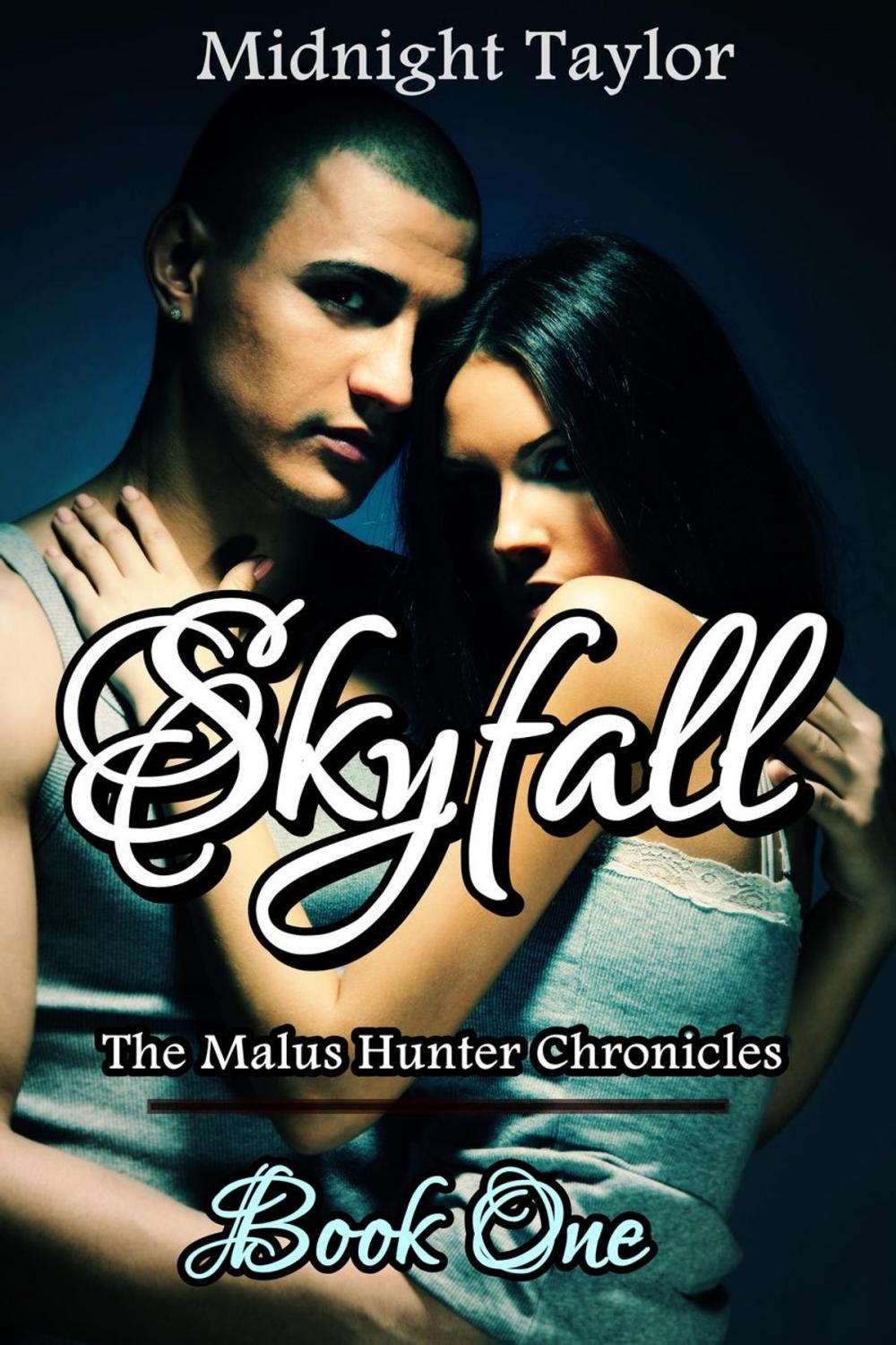 Big bigCover of Skyfall