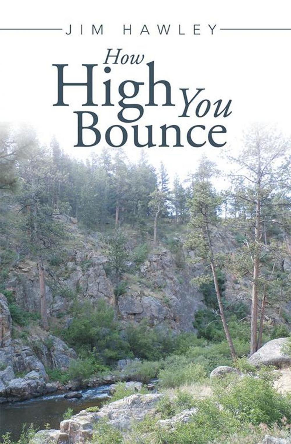 Big bigCover of How High You Bounce