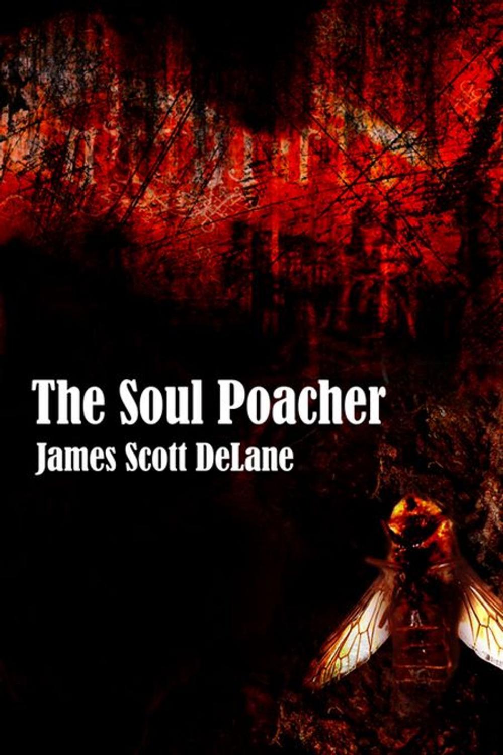 Big bigCover of The Soul Poacher