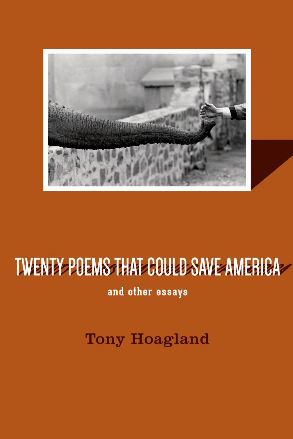 Big bigCover of Twenty Poems That Could Save America and Other Essays