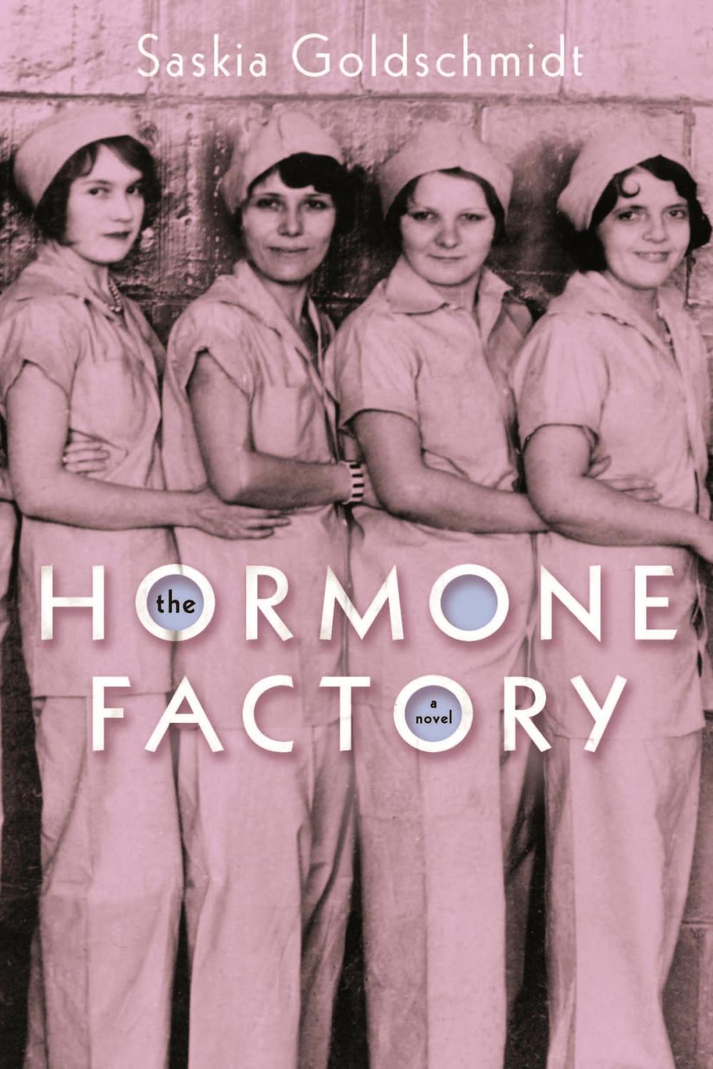 Big bigCover of The Hormone Factory