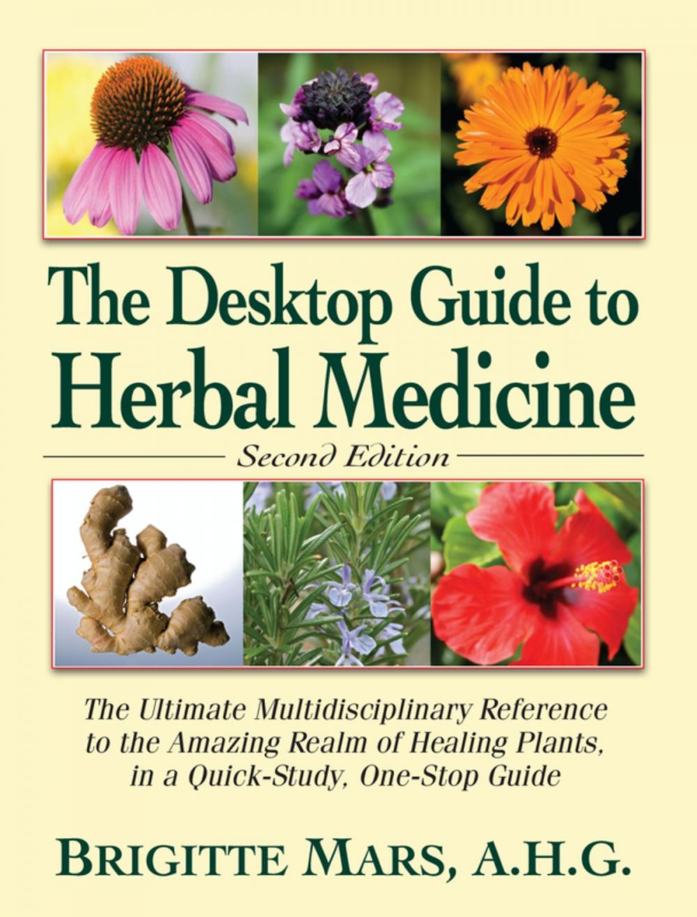 Big bigCover of The Desktop Guide to Herbal Medicine