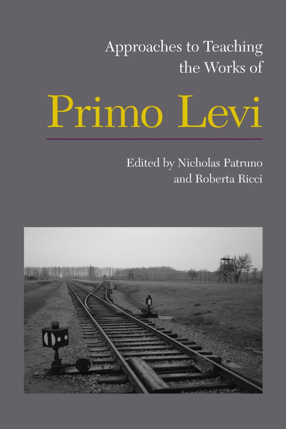 Big bigCover of Approaches to Teaching the Works of Primo Levi