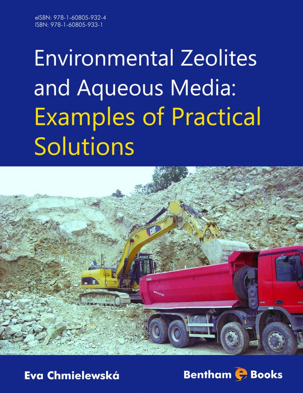 Big bigCover of Environmental zeolites and aqueous media: Examples of practical solutions: Examples of practical solutions