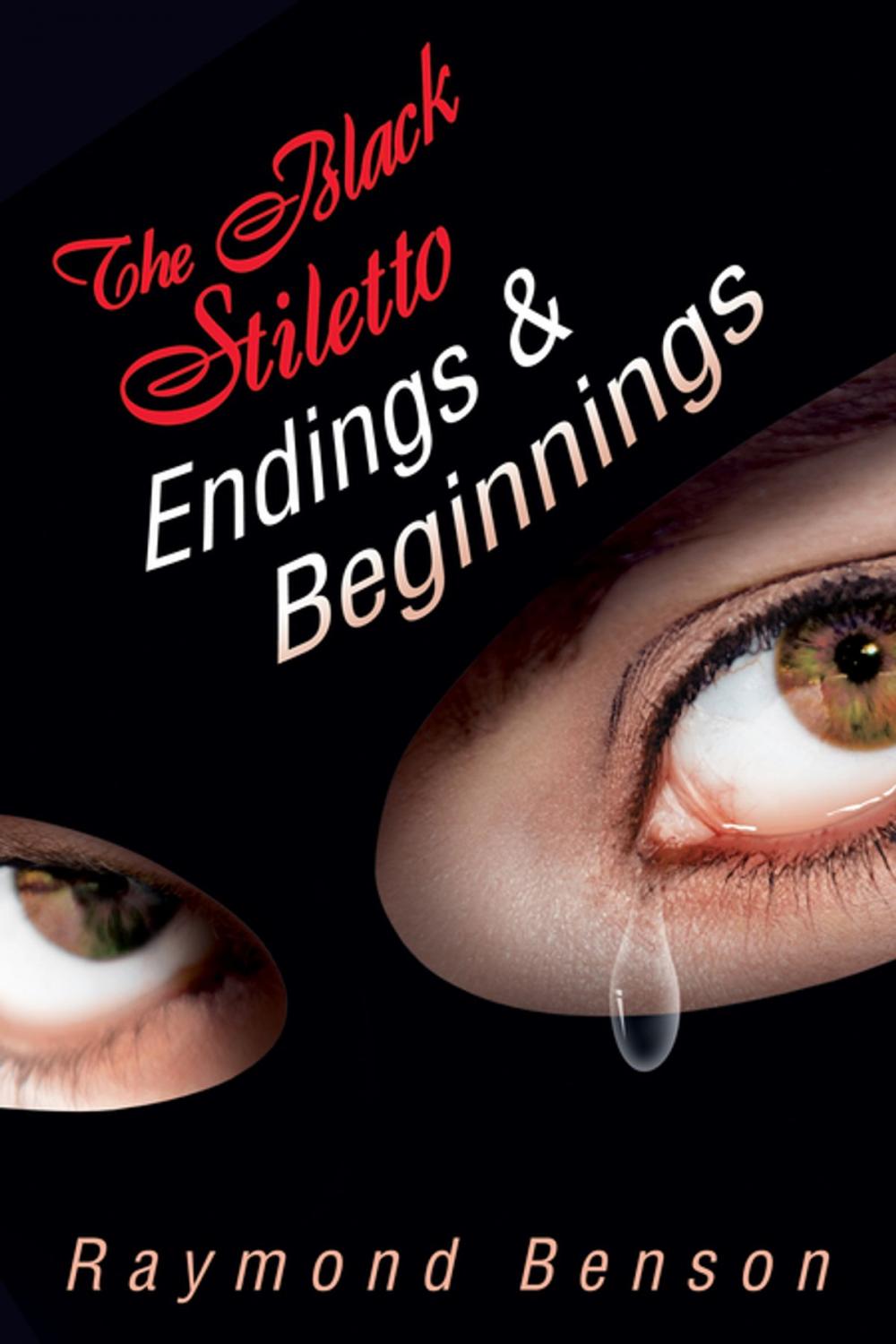 Big bigCover of The Black Stiletto: Endings & Beginnings