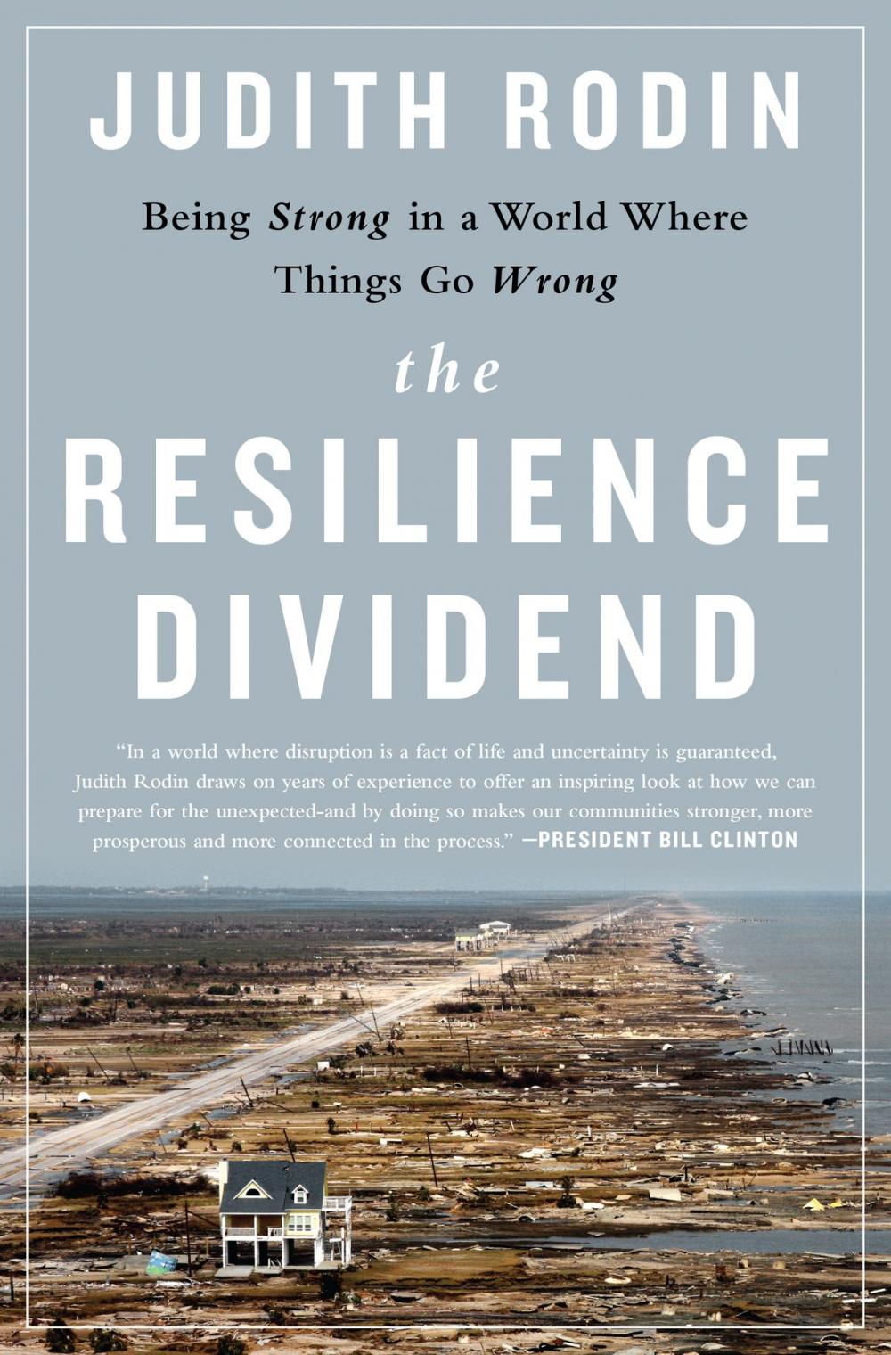 Big bigCover of The Resilience Dividend