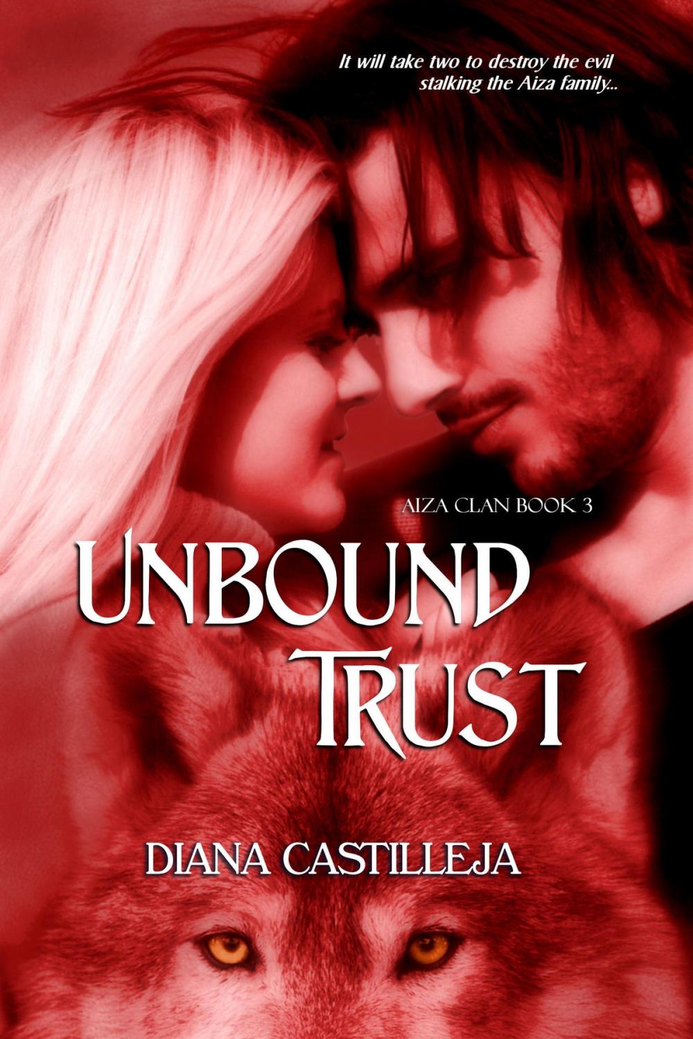 Big bigCover of Unbound Trust