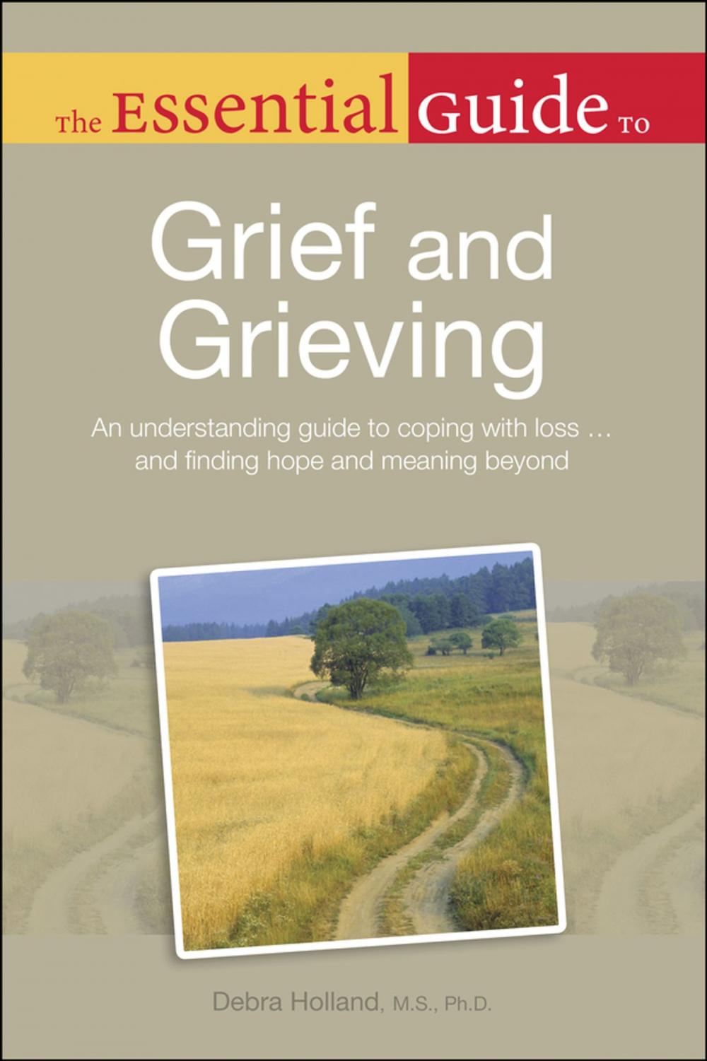 Big bigCover of The Essential Guide to Grief and Grieving