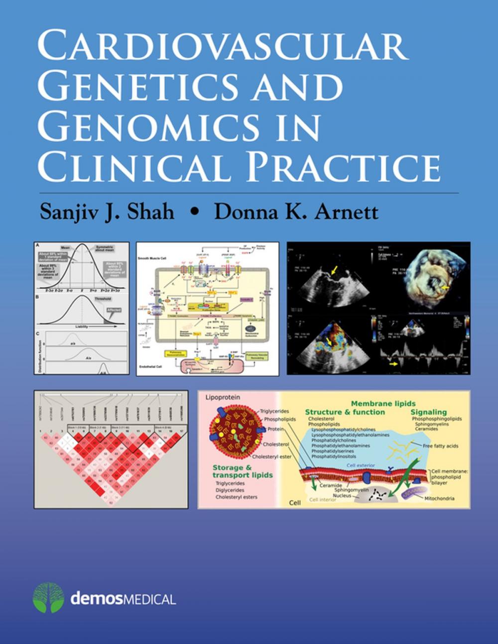 Big bigCover of Cardiovascular Genetics and Genomics in Clinical Practice