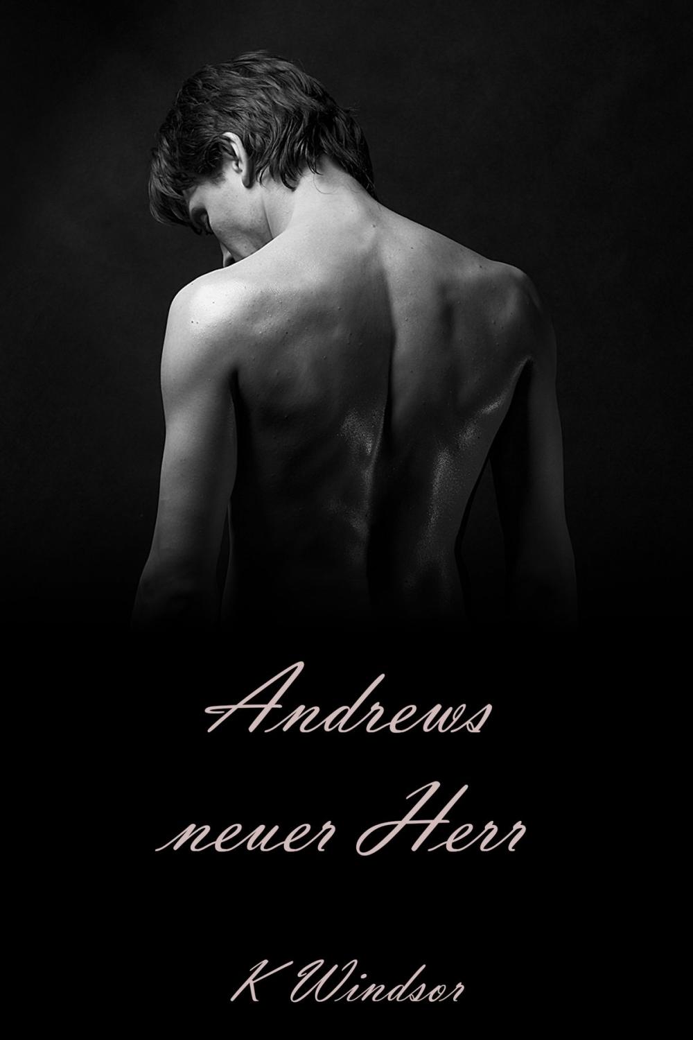 Big bigCover of Andrews neuer Herr