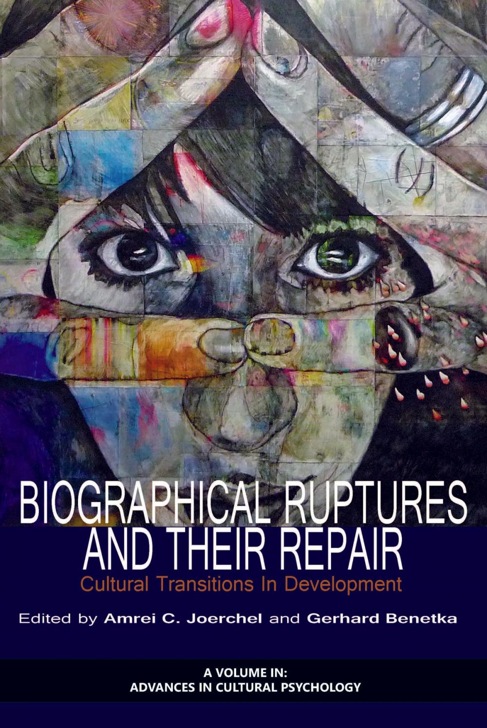 Big bigCover of Biographical Ruptures and Their Repair