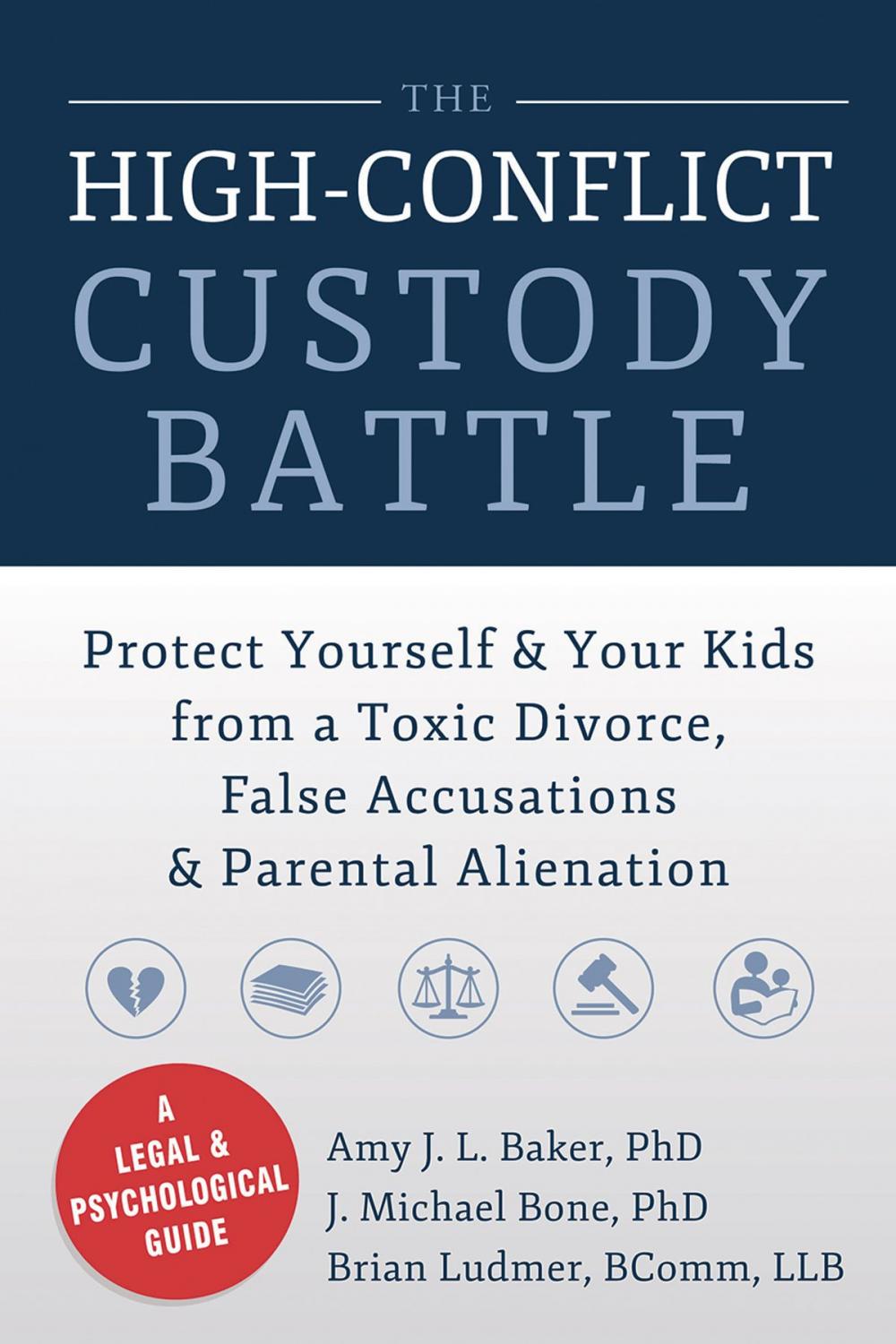 Big bigCover of The High-Conflict Custody Battle