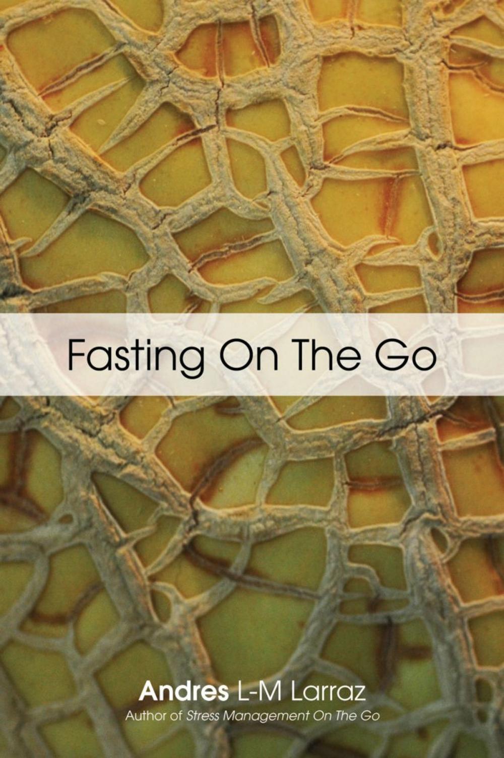 Big bigCover of FASTING ON THE GO: Techniques for Well Being - A Practical Guide to Healing Your Body through Liquid Fasting