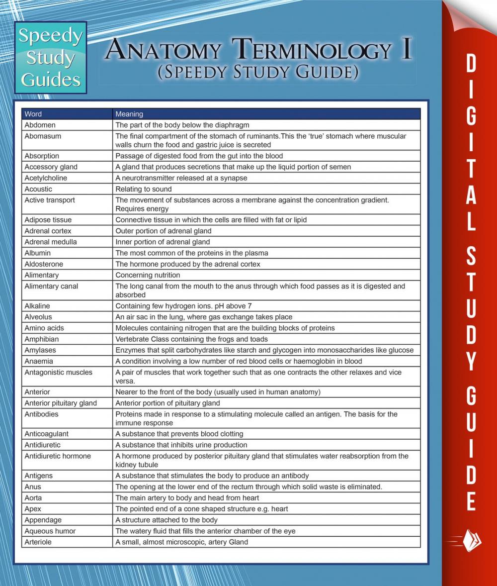 Big bigCover of Anatomy Terminology I (Speedy Study Guide)