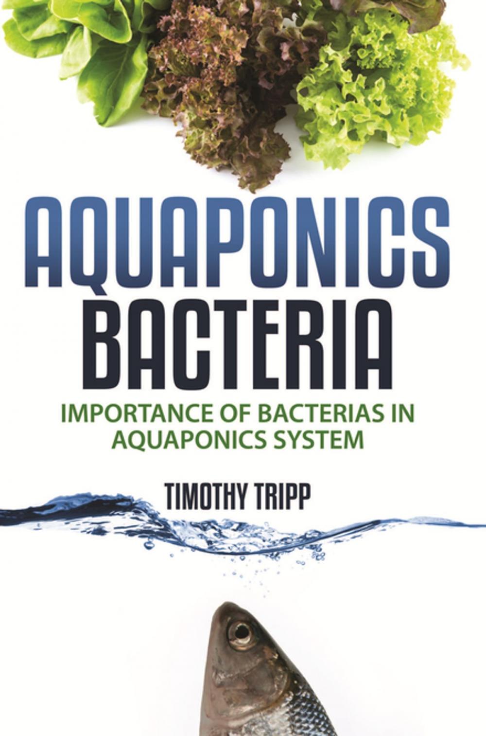 Big bigCover of Aquaponics Bacteria