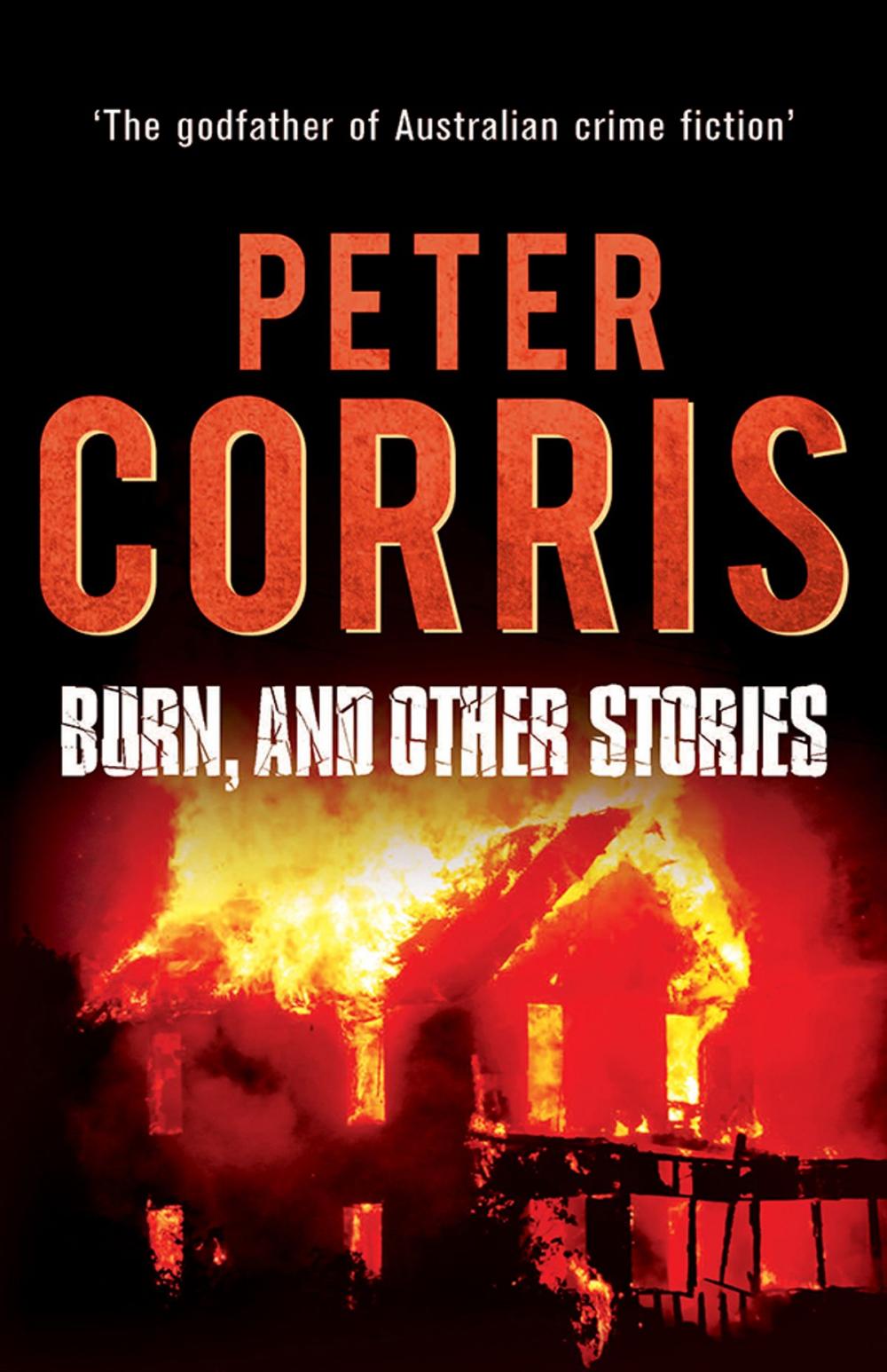 Big bigCover of Burn, and Other Stories