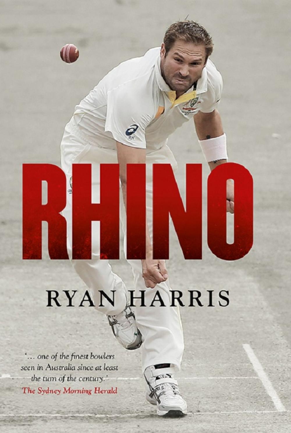 Big bigCover of Rhino