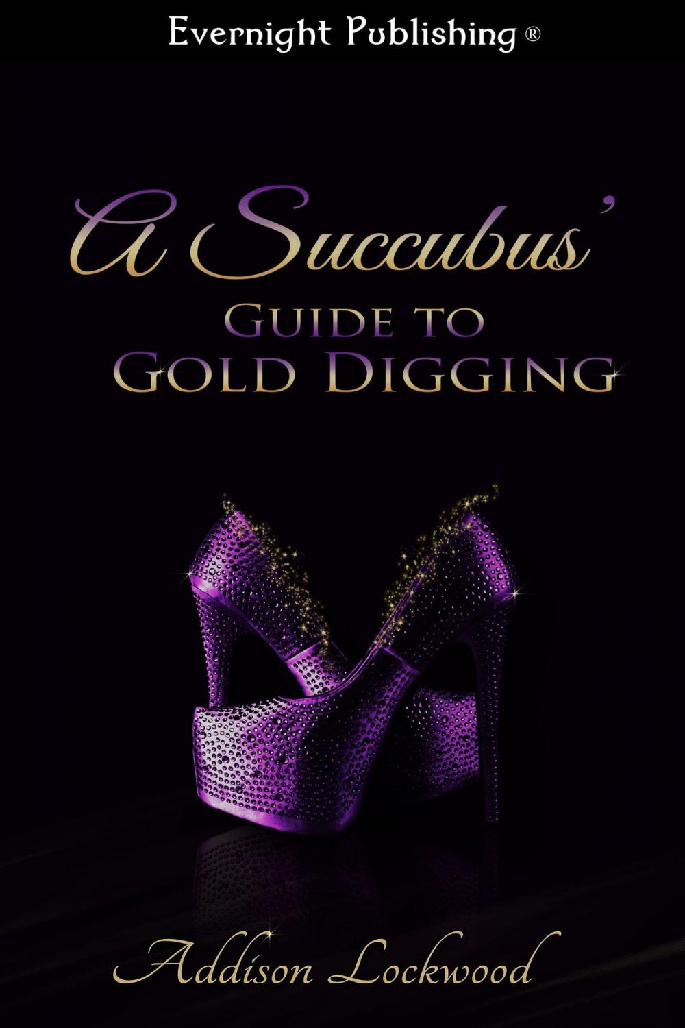 Big bigCover of A Succubus' Guide to Gold Digging