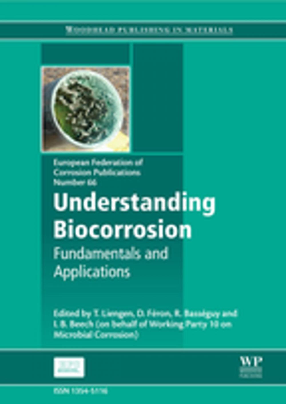 Big bigCover of Understanding Biocorrosion