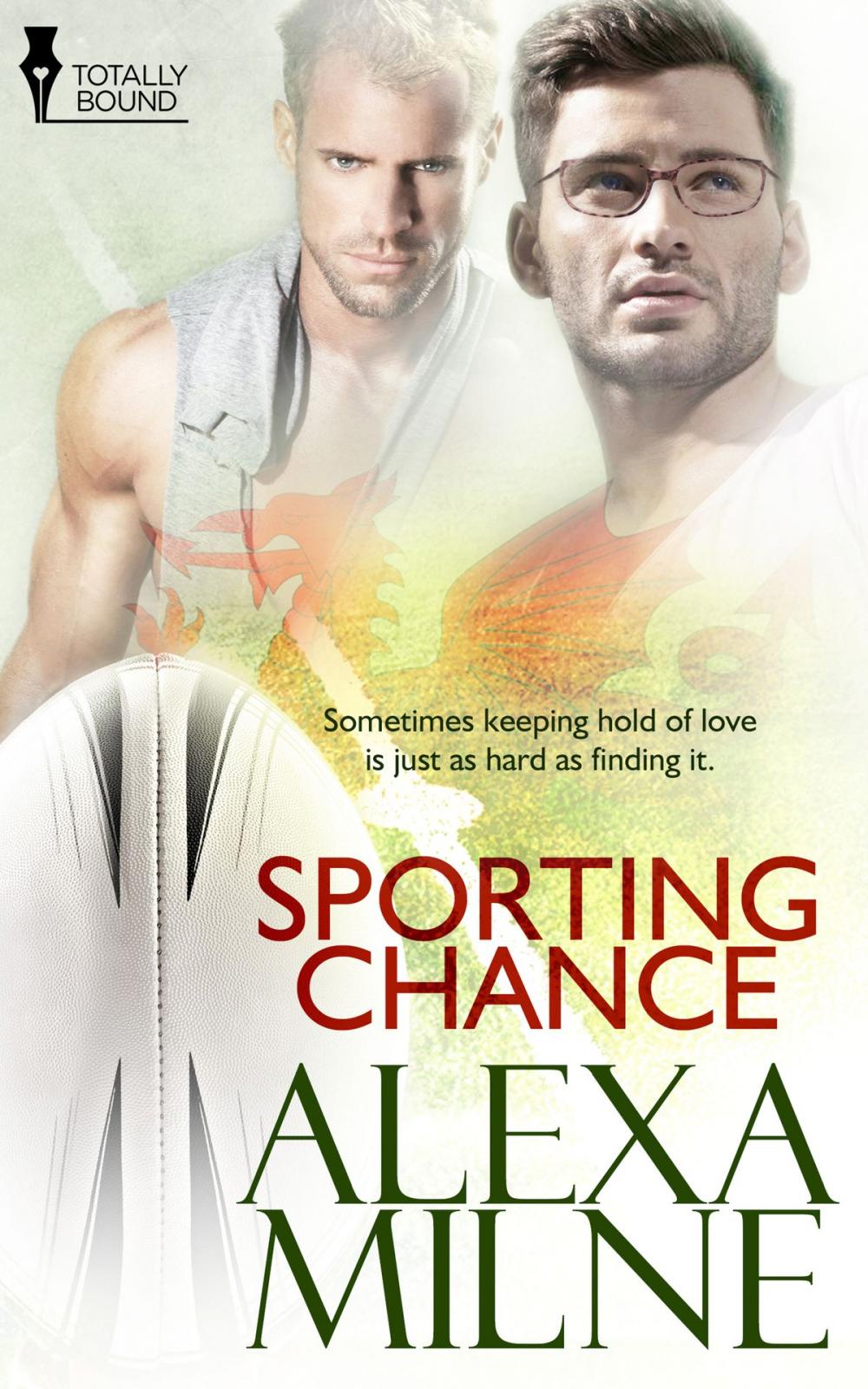 Big bigCover of Sporting Chance